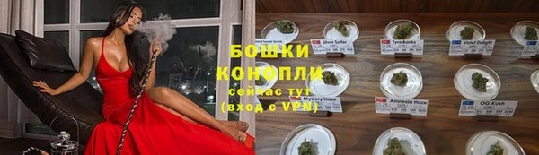 сатива Киреевск