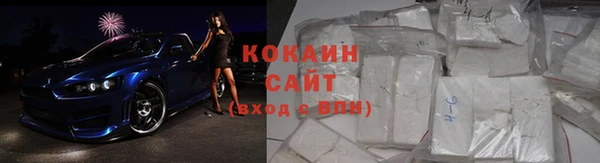 сатива Каменногорск