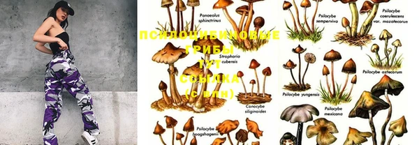 мяу мяу кристалл Карталы