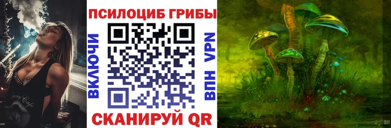 Галлюциногенные грибы Psilocybe  Кингисепп 