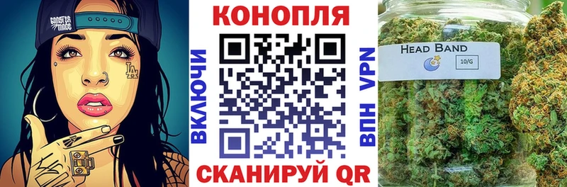 Канабис индика  где можно купить наркотик  Кингисепп 